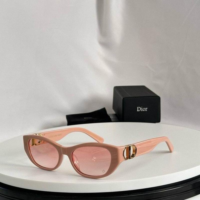 DIOR Sunglasses 507